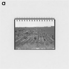 アートメモ帳-Near Meloland, Imperial Valley - ドロテア ラング Memo.