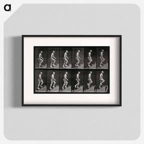 アートポスター-Man Ascending Stairs
 - エドワード マイブリッジ Poster.