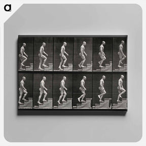 アートパネル-Man Ascending Stairs
 - エドワード マイブリッジ Canvas.