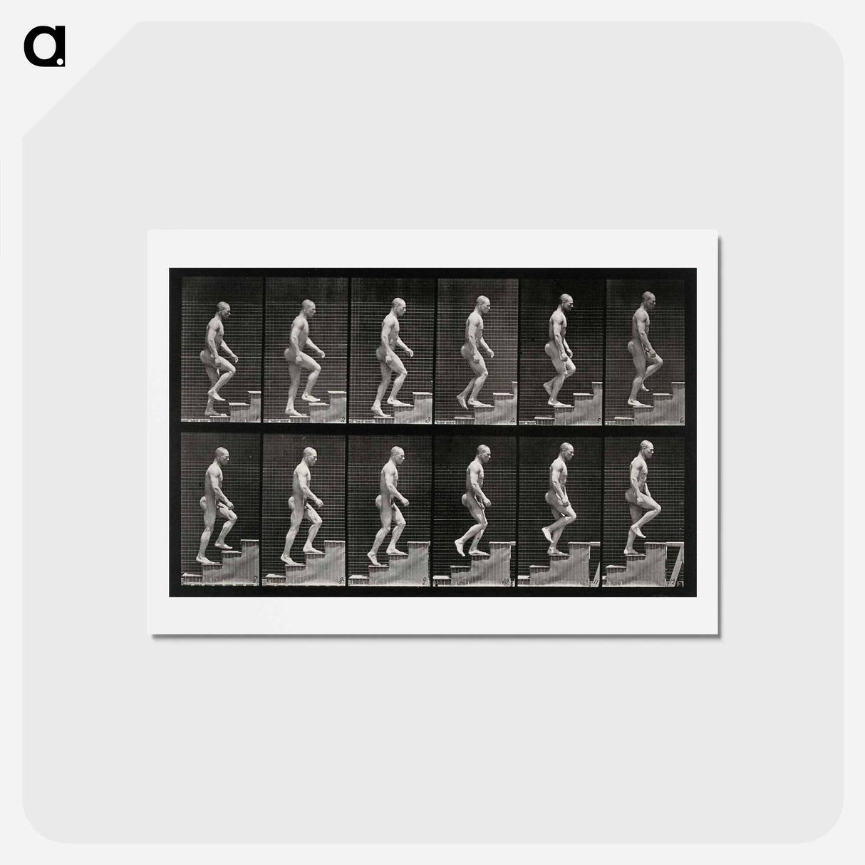 アートポストカード-Man Ascending Stairs
 - エドワード マイブリッジ Postcard.