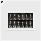 アートポストカード-Man Ascending Stairs
 - エドワード マイブリッジ Postcard.
