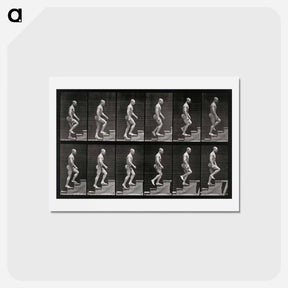 アートポストカード-Man Ascending Stairs
 - エドワード マイブリッジ Postcard.