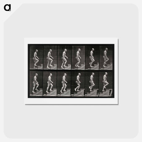 アートポストカード-Man Ascending Stairs
 - エドワード マイブリッジ Postcard.