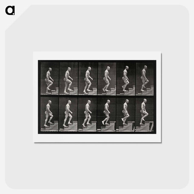 アートポストカード-Man Ascending Stairs
 - エドワード マイブリッジ Postcard.