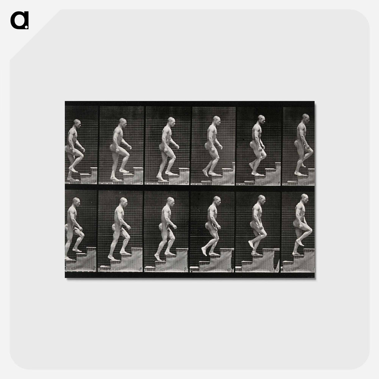 アートポストカード-Man Ascending Stairs
 - エドワード マイブリッジ Postcard.