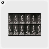 アートポストカード-Man Ascending Stairs
 - エドワード マイブリッジ Postcard.