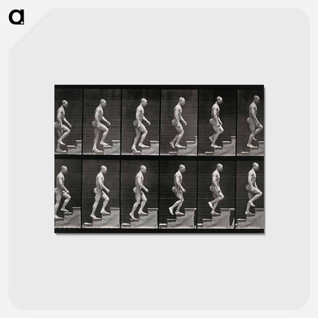 アートポストカード-Man Ascending Stairs
 - エドワード マイブリッジ Postcard.