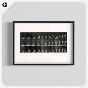 アートポスター-Woman Walking
 - エドワード マイブリッジ Poster.