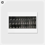 アートポストカード-Woman Walking
 - エドワード マイブリッジ Postcard.
