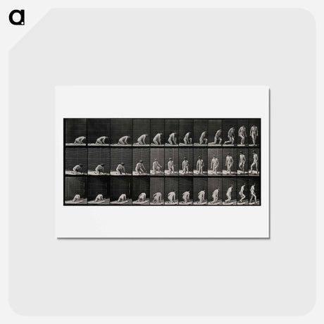 アートポストカード-Woman Walking
 - エドワード マイブリッジ Postcard.