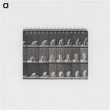 アートメモ帳-Woman Walking
 - エドワード マイブリッジ Memo.