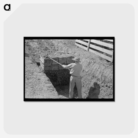アートポストカード-Loading Silage Near Weslaco
 - ラッセル リー Postcard.