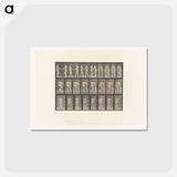アートポストカード-Two Women Kissing
 - エドワード マイブリッジ Postcard.