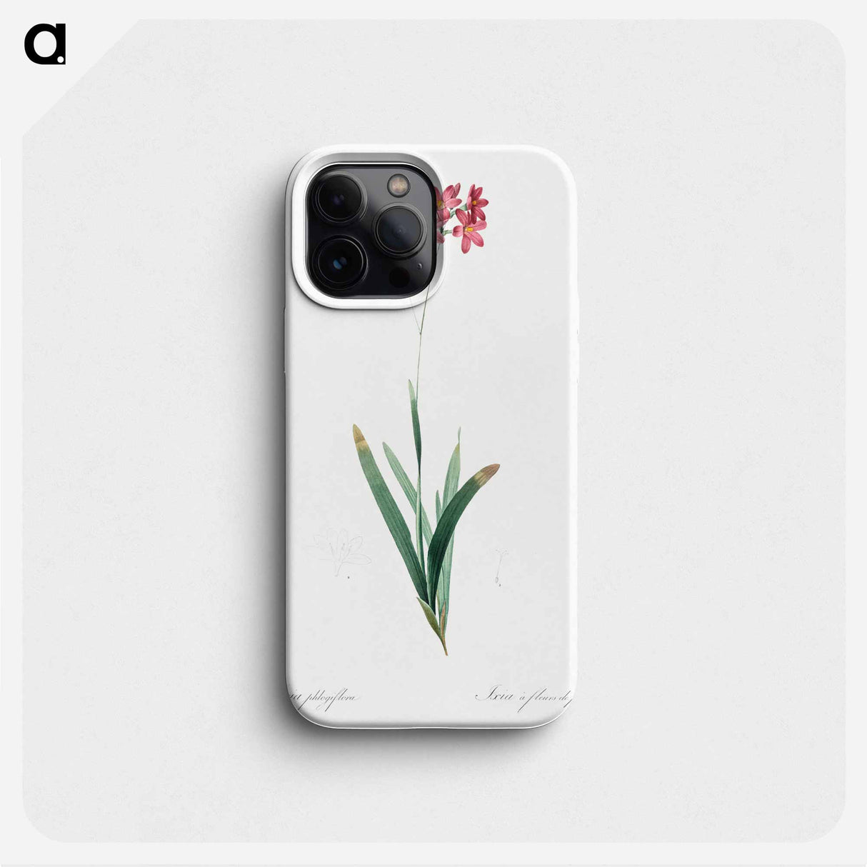 Corn lily illustration - Pierre Joseph Redouté Phone Case.