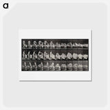 アートポストカード-Getting into Bed
 - エドワード マイブリッジ Postcard.