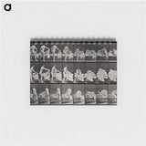 アートメモ帳-Getting into Bed
 - エドワード マイブリッジ Memo.