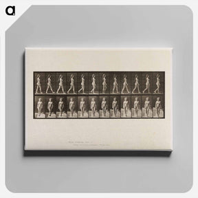 アートパネル-Naked Woman Walking
 - エドワード マイブリッジ Canvas.