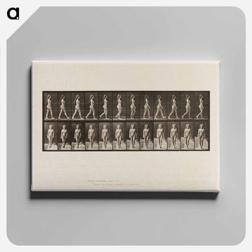 Naked Woman Walking
 - エドワード マイブリッジ Canvas.