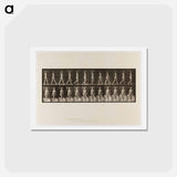 アートポストカード-Naked Woman Walking
 - エドワード マイブリッジ Postcard.