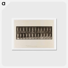 アートポストカード-Naked Woman Walking
 - エドワード マイブリッジ Postcard.