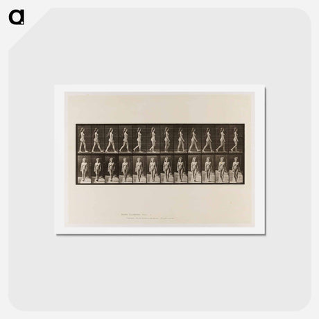 アートポストカード-Naked Woman Walking
 - エドワード マイブリッジ Postcard.