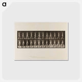 アートポストカード-Naked Woman Walking
 - エドワード マイブリッジ Postcard.