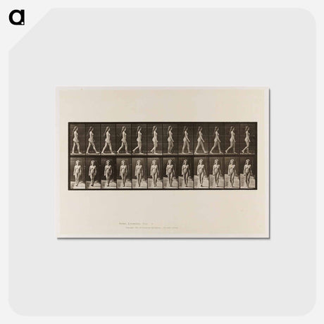アートポストカード-Naked Woman Walking
 - エドワード マイブリッジ Postcard.