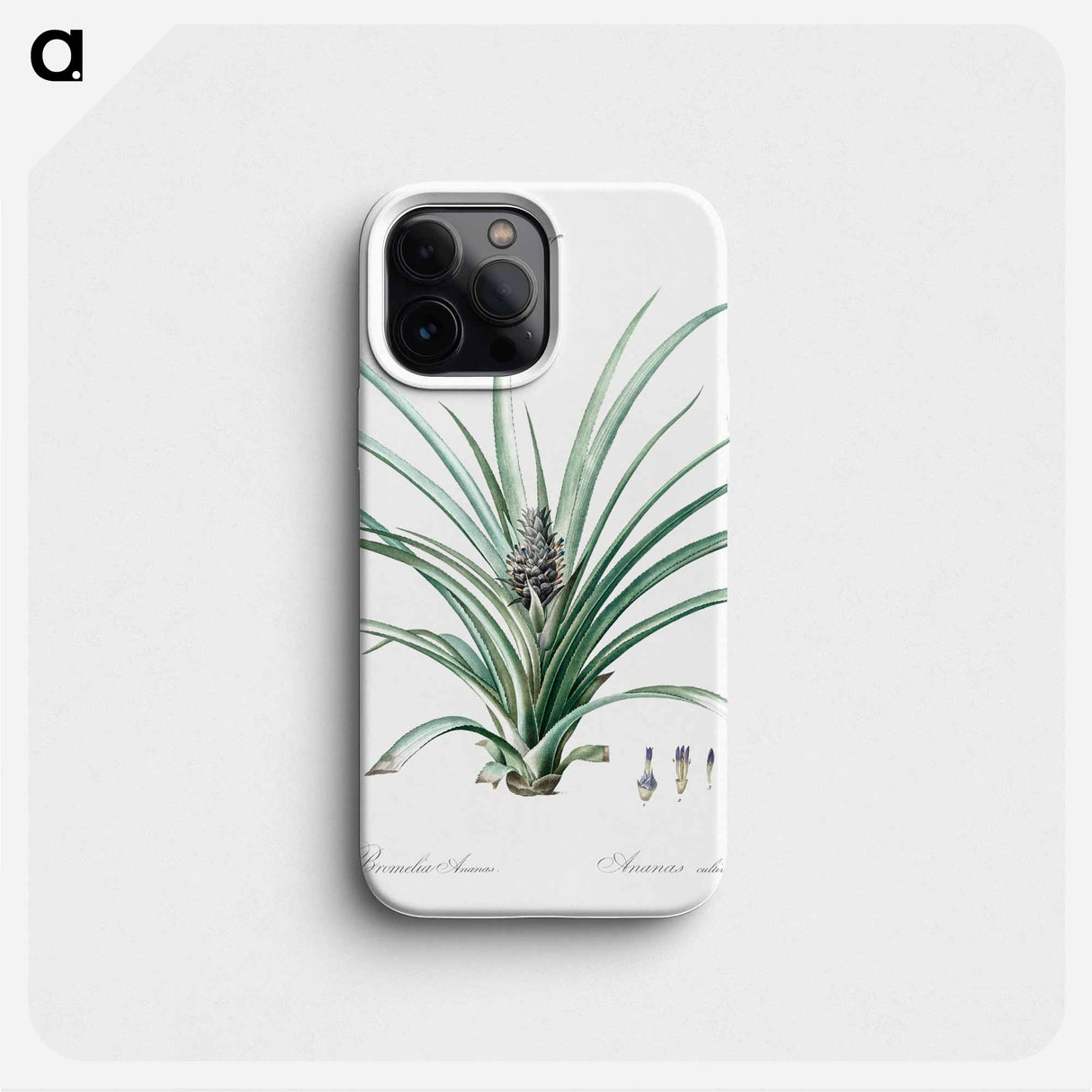 Pineapple illustration - ピエール ジョゼフ ルドゥーテ Phone Case.