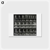 アートポストカード-Smoking Women
 - エドワード マイブリッジ Postcard.