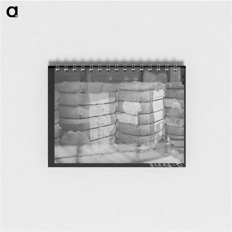 アートメモ帳-Sacked Potatoes
 - ラッセル リー Memo.