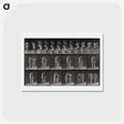 アートポストカード-Water Jug
 - エドワード マイブリッジ Postcard.
