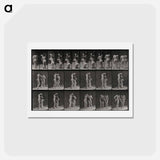 アートポストカード-Water Jug
 - エドワード マイブリッジ Postcard.