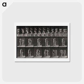 アートポストカード-Water Jug
 - エドワード マイブリッジ Postcard.