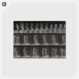 アートポストカード-Water Jug
 - エドワード マイブリッジ Postcard.