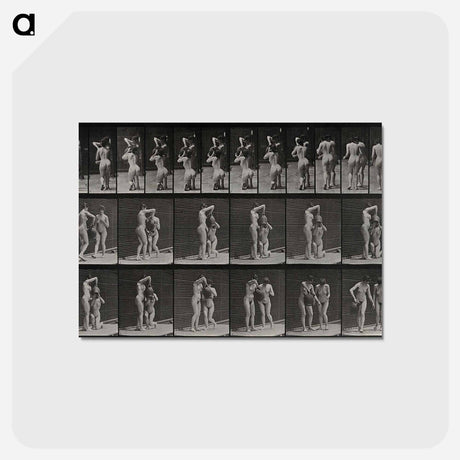 アートポストカード-Water Jug
 - エドワード マイブリッジ Postcard.