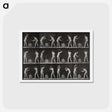 アートポストカード-Two Blacksmiths
 - エドワード マイブリッジ Postcard.
