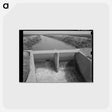 アートポストカード-Irrigation Ditch near Eagle Pass
 - ラッセル リー Postcard.