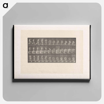 Woman Drying Her Feet
 - エドワード マイブリッジ Canvas.