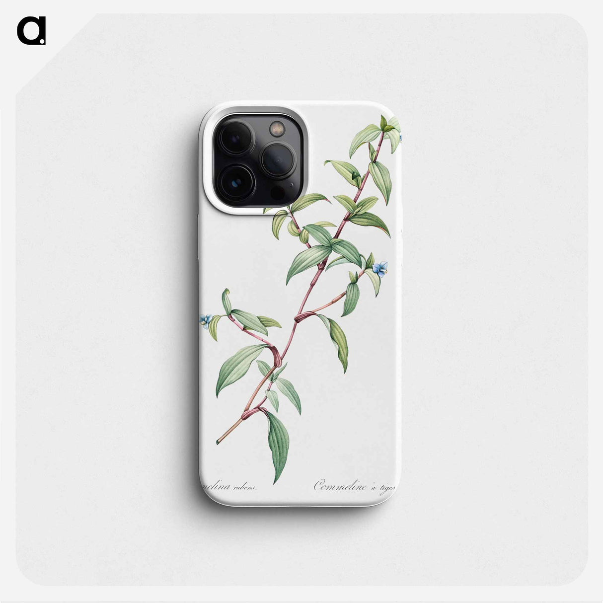 Birdbill dayflower illustration - ピエール ジョゼフ ルドゥーテ Phone Case.