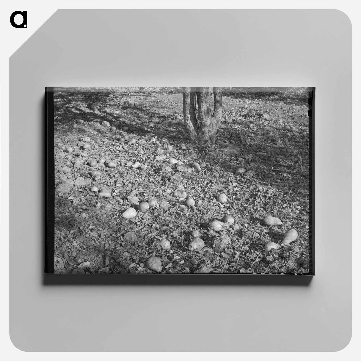 アートパネル-Spanish-American Farmhouse
 - ラッセル リー Canvas.