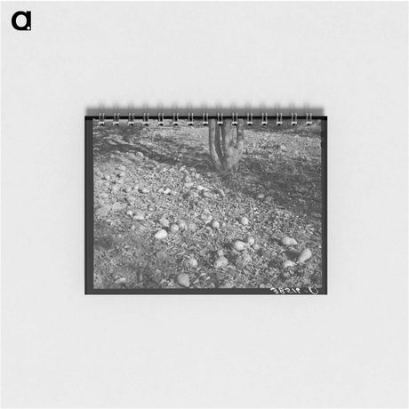 アートメモ帳-Spanish-American Farmhouse
 - ラッセル リー Memo.