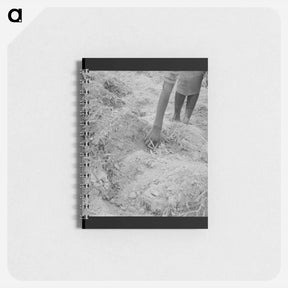 アートメモ帳-Untitled photo - ドロテア ラング Memo.