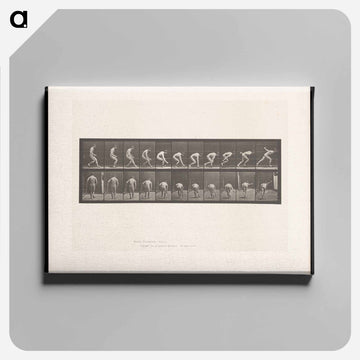 The Ball Player
 - エドワード マイブリッジ Canvas.