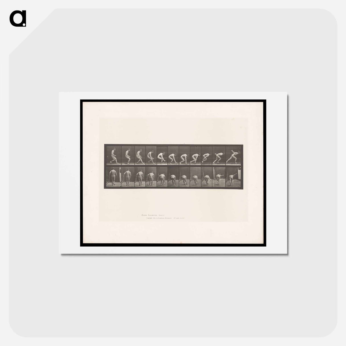 アートポストカード-The Ball Player
 - エドワード マイブリッジ Postcard.