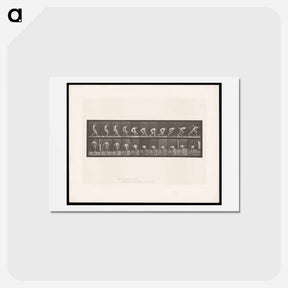 アートポストカード-The Ball Player
 - エドワード マイブリッジ Postcard.