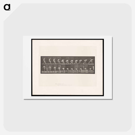 アートポストカード-The Ball Player
 - エドワード マイブリッジ Postcard.