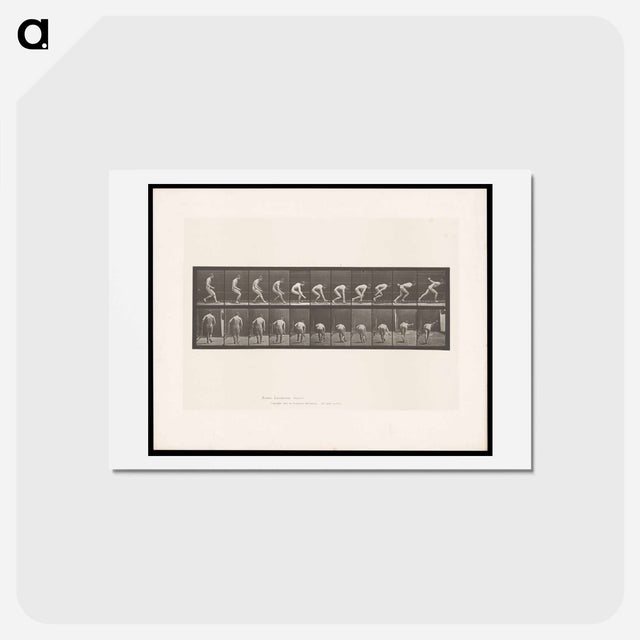 アートポストカード-The Ball Player
 - エドワード マイブリッジ Postcard.