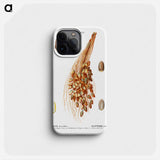 Date palm - Pierre Joseph Redouté Phone Case.