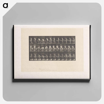 Ironing Nude
 - エドワード マイブリッジ Canvas.