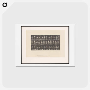 アートポストカード-Ironing Nude
 - エドワード マイブリッジ Postcard.